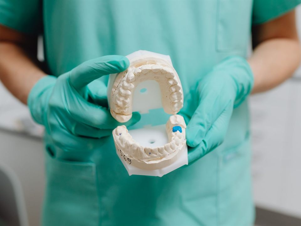 Dental team member holding a teeth model used to explain space maintainers for kids in Christiansburg, VA